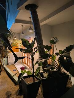 Spice House Apartments - 1