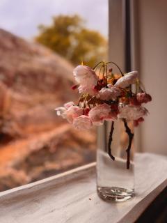 Carraig Lodge Goleen - 8