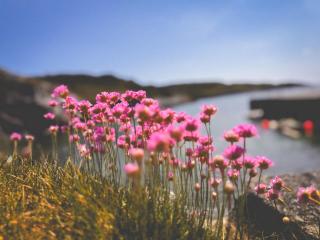 Carraig Lodge Goleen - 2