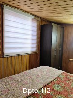 Wildepartamentos Valdivia ER - 4