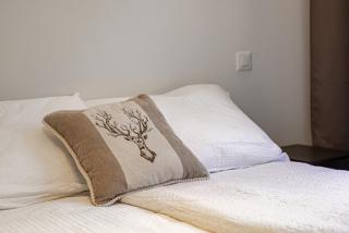 Bergstudio II I Flims I Laax I Ski I Caumasee - 4