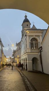 Gates of Dawn Apartment - Aušros Vartų apartamentai - 9