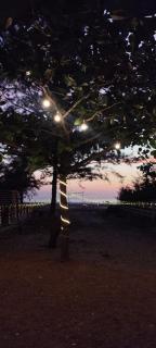 Chaitanya Beach Reesort - 1
