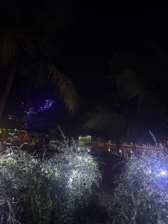 Munroe Mangrove Forest Lake Holidays Resorts - 6