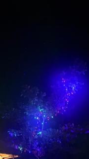 Munroe Mangrove Forest Lake Holidays Resorts - 7