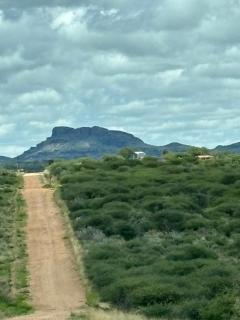 BellaTiny, Tiny House & Gypsy Wagon - 9