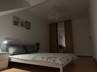 Szczecin Mierzyn Windmill - 2