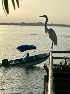 Casa huésped hotel Ayapel Paradise - 9