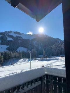 Chalet à la montagne, Moléson-sur-Gruyères, Fribourg - 9