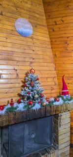 Cuore della Sila Apartment - 1