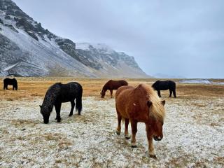 Sky Retreat Iceland - 7