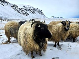 Sky Retreat Iceland - 6
