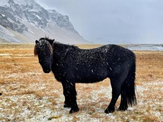 Sky Retreat Iceland - 5