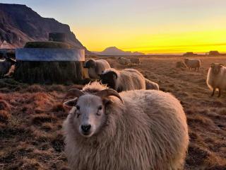 Sky Retreat Iceland - 4