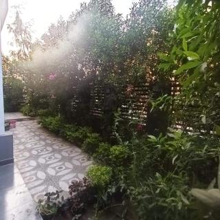 هرم لايف حدائق اكتوبر - 5