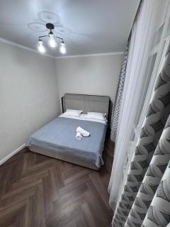 2-х комнатная квартира ЖК Park city, ТЦ MAXI MALL, Спортивные комплексы, Теннисный центр, Центральный бассейн, Легкоатлетический центр Рыпаковойшкола НИШ - 2