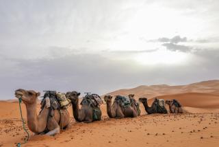 Merzouga Infinity Dunes Camp - 3