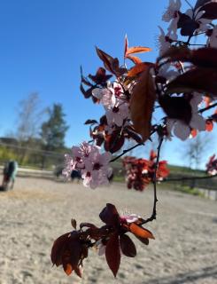 Ferienhof am Taubenberg - 7