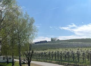 Ferienhof am Taubenberg - 1