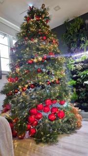 Wonderful Dream Apartament z widokiem na Śnieżkę - 9