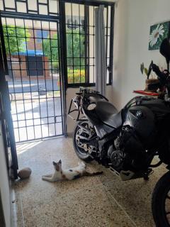 Habitación privada en casa de huespedes - 6