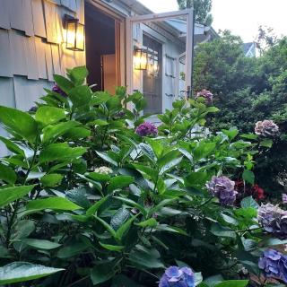 Southampton Village, 2 Fireplaces, Walk to All - 9