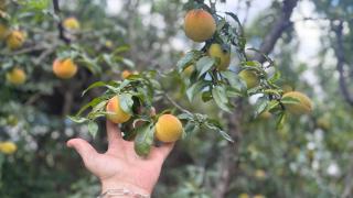 El descanso - El Rodeo - 1