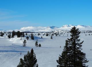 Gemütliche Hütte in traumhafter Natur auf 1000 m - 8