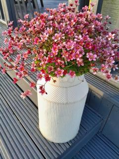 Inch View Cabin with Hot Tub & Sauna - 2