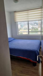 Los castaños viña - 4