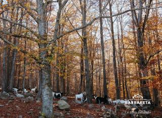 La Barraketa del Montseny - 2