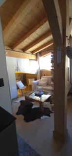 Portes du Soleil T3 "comme un chalet" direct access Morzine Avoriaz - 5