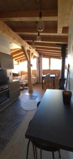 Portes du Soleil T3 "comme un chalet" direct access Morzine Avoriaz - 4