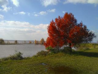 Departamentos GENGIS - 6