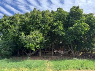 HOTEL THE PUSHKAR FLOWER - 9