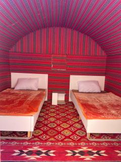 Camp in the natural reserve & tours - 1