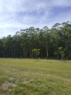 Cabaña La Carola - 7