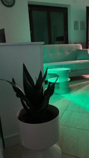 Harmony Boutique inn - 5