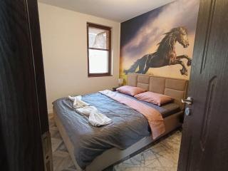 Ski cosy apartment 5 - 6