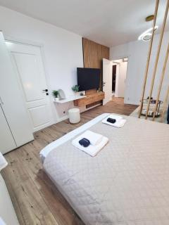 The Wooden Line - Modern Retreat near Victoriei - 0