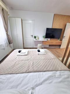 The Wooden Line - Modern Retreat near Victoriei - Boekarest - 1