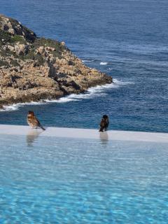 Villa Knossos 4 - Stunning View - 2