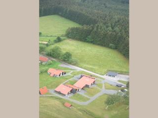 Charmantes Ferienhaus in Skigebietsnaehe - Schmallenberg - 1