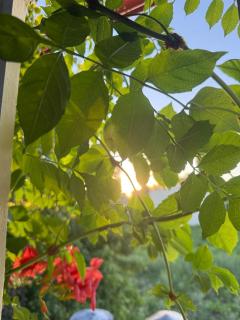 La Buena Fortuna PH in Colón Entre Ríos - 4