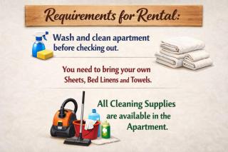 Mountain apartment Røldal alpine center - 2