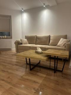 Apartament przyjazny pod Dzikowcem - 7