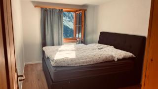 Davos Wiesen - Alpine Appartment - 23mins to WEF - 8
