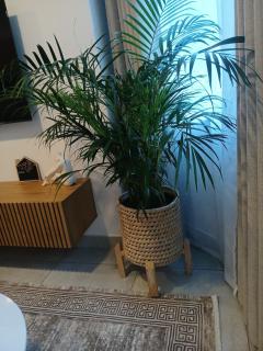 Sandton-Illovo Aura - 1