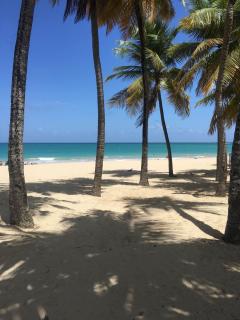Borinquen Beach Inn - San Juan - 9