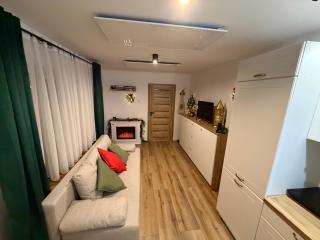 Apartament w Sercu Gór z ogrodem - 7